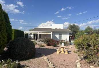 467129-Vorschaubild2