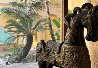 475795-Vorschaubild3