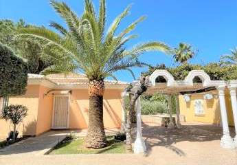 475803-Vorschaubild2