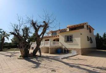 475805-Vorschaubild4