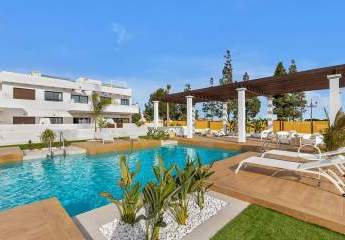 475817-Vorschaubild3