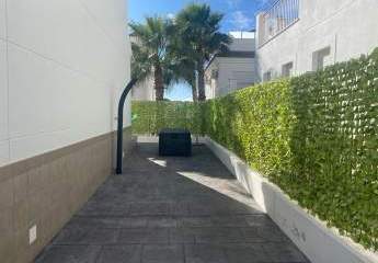 475823-Vorschaubild2