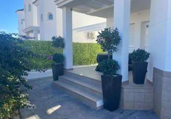 475823-Vorschaubild4