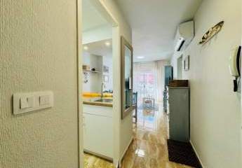 475835-Vorschaubild3