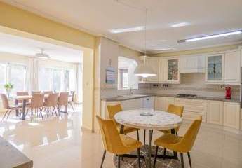 475838-Vorschaubild3