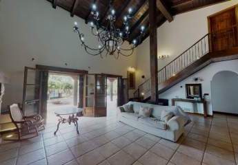 475839-Vorschaubild3