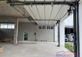 475998-Vorschaubild2