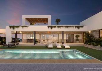 476934-Vorschaubild2