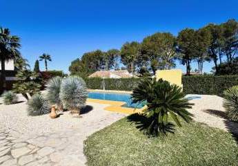 414543-Vorschaubild2