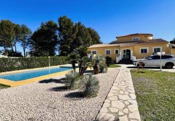 414543-Vorschaubild3