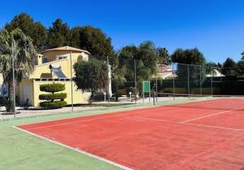 414543-Vorschaubild4