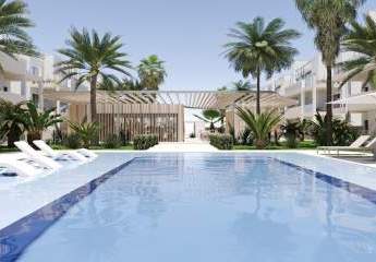 478895-Vorschaubild2