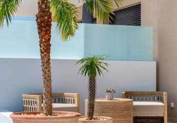 479218-Vorschaubild4