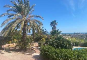 479219-Vorschaubild2