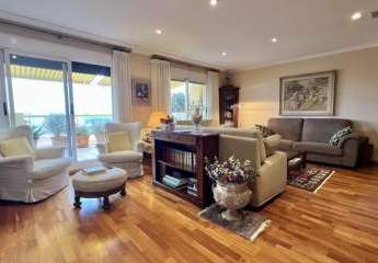 479232-Vorschaubild2