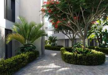 479424-Vorschaubild2