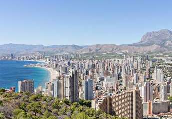 479731-Vorschaubild4