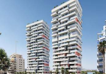 481016-Vorschaubild2