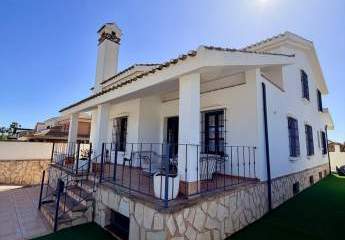 482677-Vorschaubild4