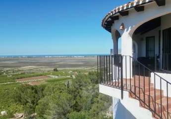 484038-Vorschaubild2