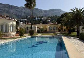 484039-Vorschaubild2