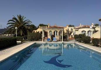 484039-Vorschaubild4