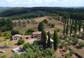 485631-Vorschaubild2