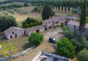 485631-Vorschaubild3