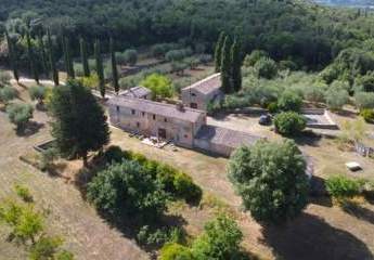 485631-Vorschaubild4