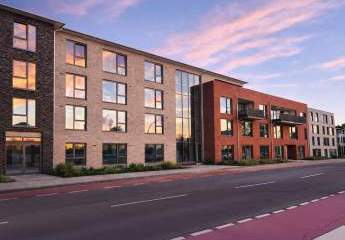 477683-Vorschaubild2