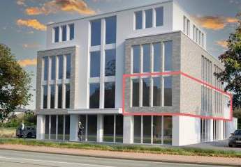 484134-Vorschaubild2