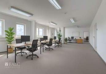 436203-Vorschaubild4