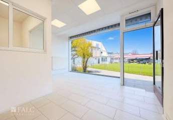 457959-Vorschaubild3