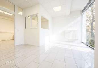 457959-Vorschaubild4