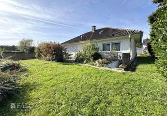 397556-Vorschaubild2