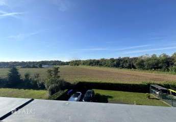 459710-Vorschaubild3