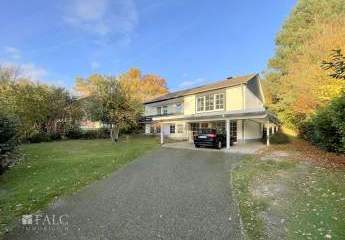 460077-Vorschaubild2