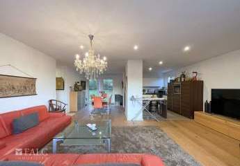 460077-Vorschaubild4