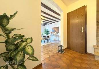 425981-Vorschaubild4