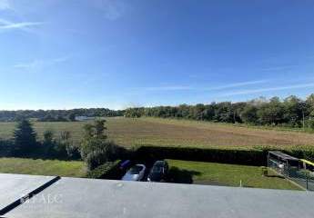 454402-Vorschaubild3