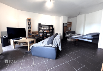 449571-Vorschaubild2