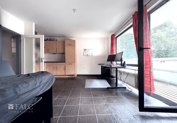 449571-Vorschaubild3