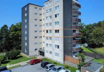 443131-Vorschaubild3