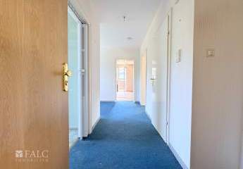 443131-Vorschaubild4