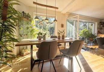 467095-Vorschaubild2