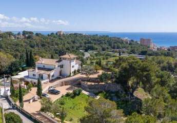 467255-Vorschaubild2