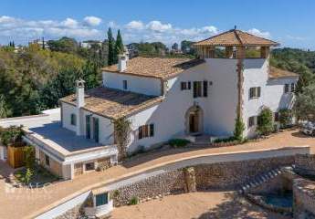 467255-Vorschaubild3