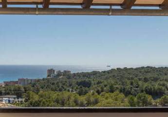 467255-Vorschaubild4