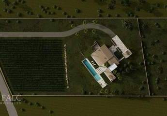 467257-Vorschaubild4