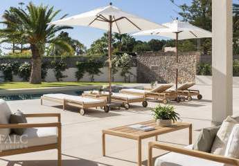 467493-Vorschaubild2